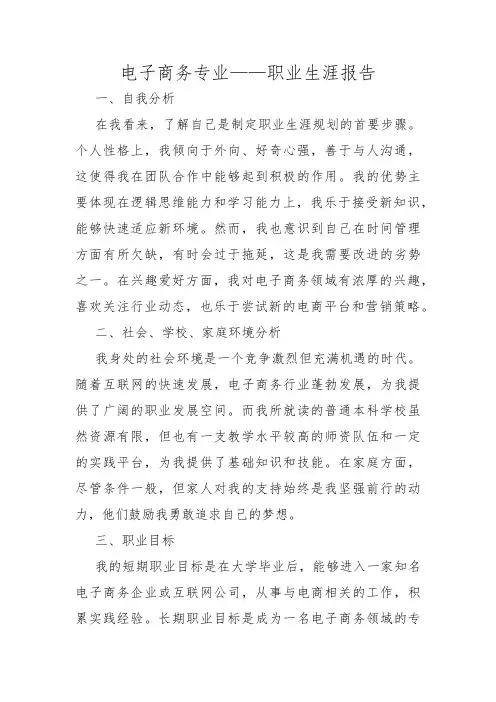 电子商务专业——职业生涯报告