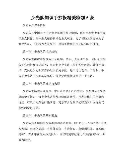 少先队知识手抄报精美特别5张