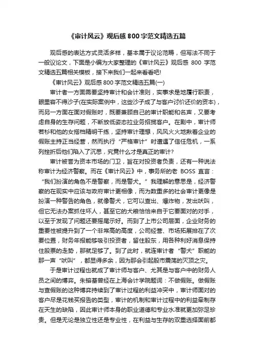 《审计风云》观后感800字范文精选五篇