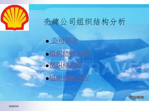 壳牌公司组织结构分析