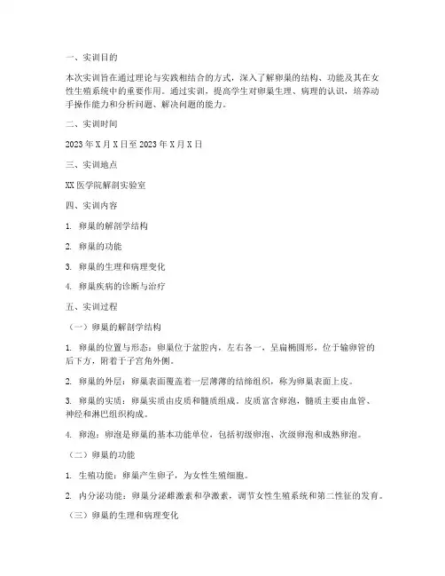 卵巢的实训报告