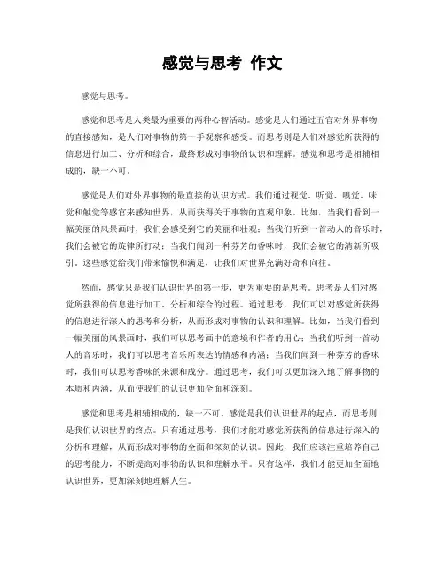感觉与思考 作文