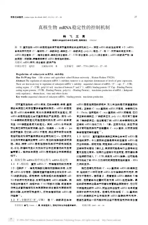 真核生物mRNA稳定性的控制机制