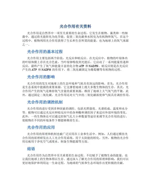 光合作用有关资料
