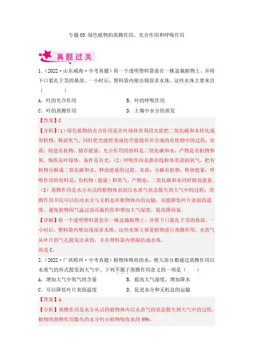 2023年中考生物复习专题05 绿色植物的蒸腾作用、光合作用和呼吸作用》考点训练(解析版)