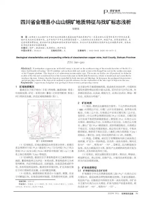四川省会理县小山山铜矿地质特征与找矿标志浅析