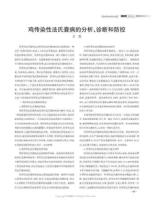 鸡传染性法氏囊病的分析、诊断和防控
