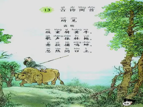 人教版一年级下册古诗《小池》ppt课件