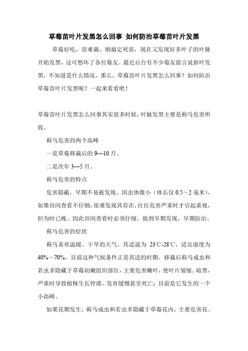 草莓苗叶片发黑怎么回事 如何防治草莓苗叶片发黑