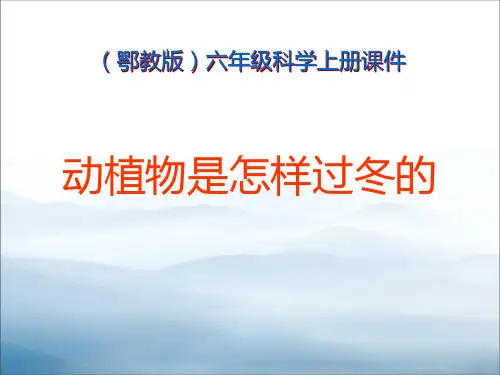 《动植物是怎样过冬的》四季中的变化PPT课件3【优秀课件PPT】