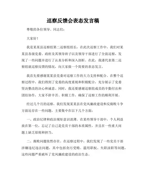 巡察反馈会表态发言稿