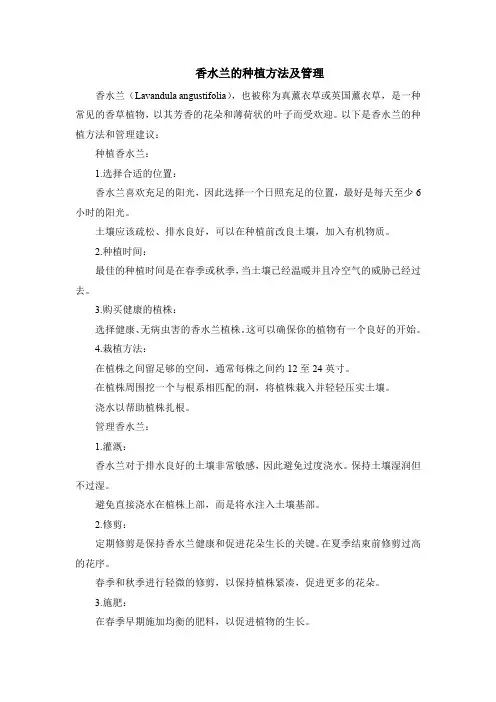 香水兰的种植方法及管理