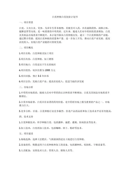 白芨种植白芨创业计划书