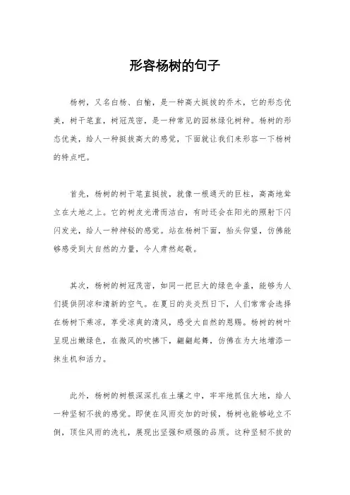 形容杨树的句子
