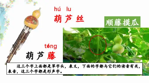 14《我要的是葫芦》(课件)统编版语文二年级上册