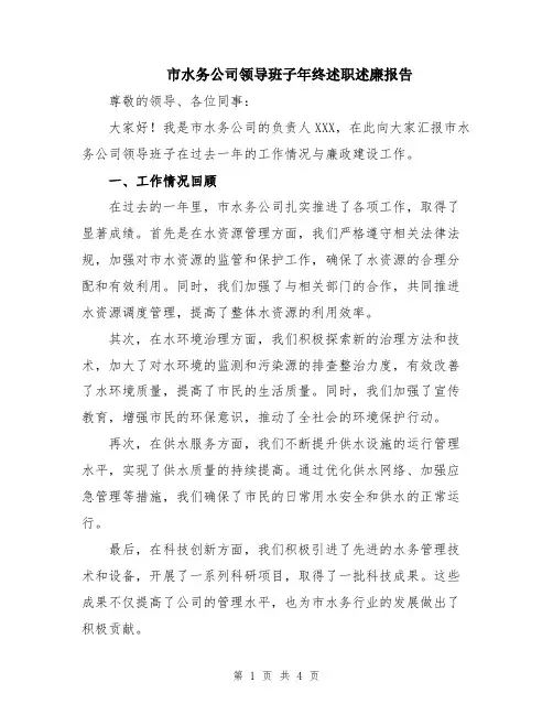 市水务公司领导班子年终述职述廉报告