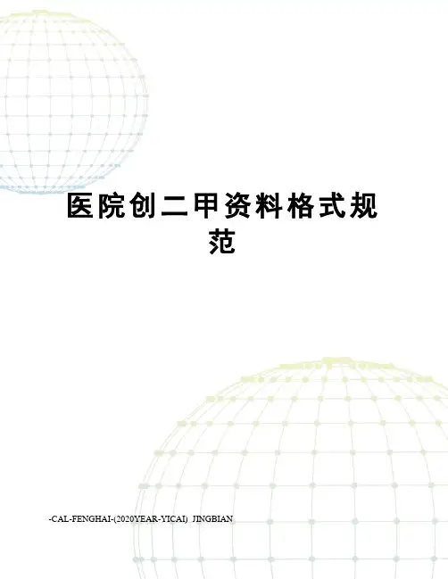 医院创二甲资料格式规范