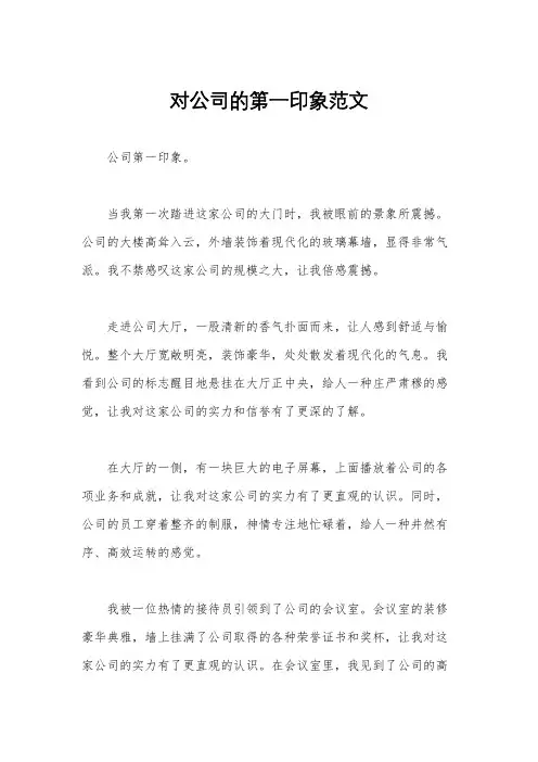 对公司的第一印象范文