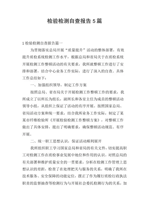 检验检测自查报告5篇