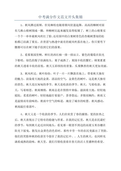 中考满分作文范文开头集锦