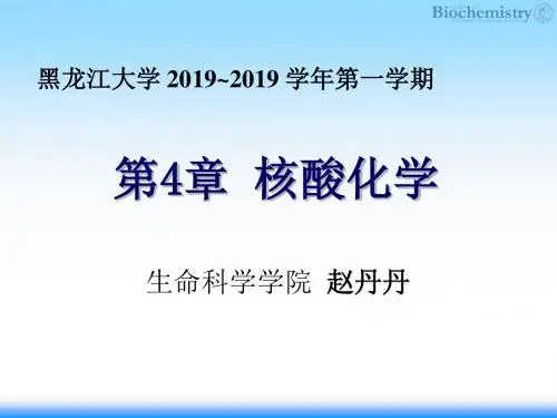 04核酸化学-121页PPT精选文档