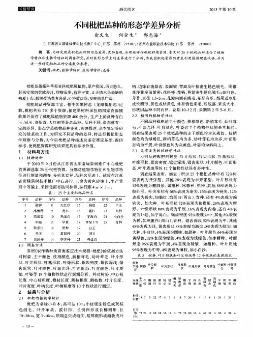 不同枇杷品种的形态学差异分析