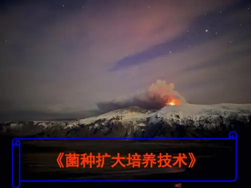 菌种扩大培养技术