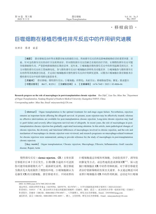 巨噬细胞在移植后慢性排斥反应中的作用研究进展