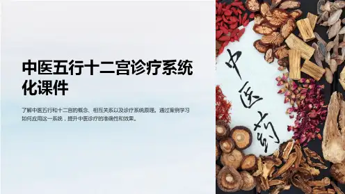 《中医五行十二宫诊疗系统化课件》