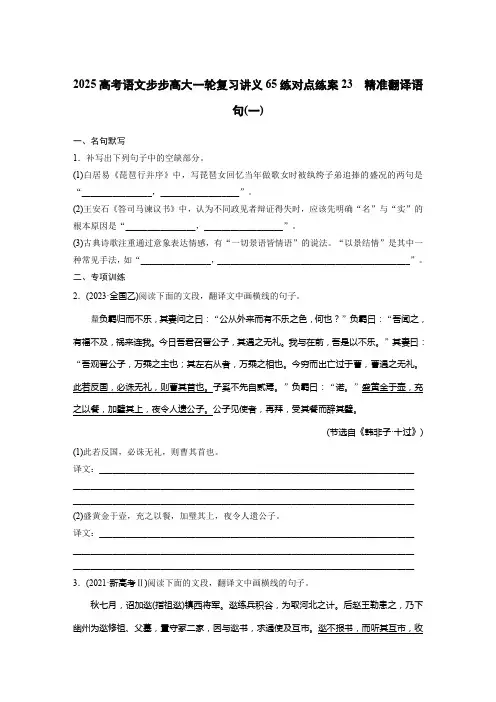 2025高考语文步步高大一轮复习讲义65练 对点练案23 精准翻译语句(一)
