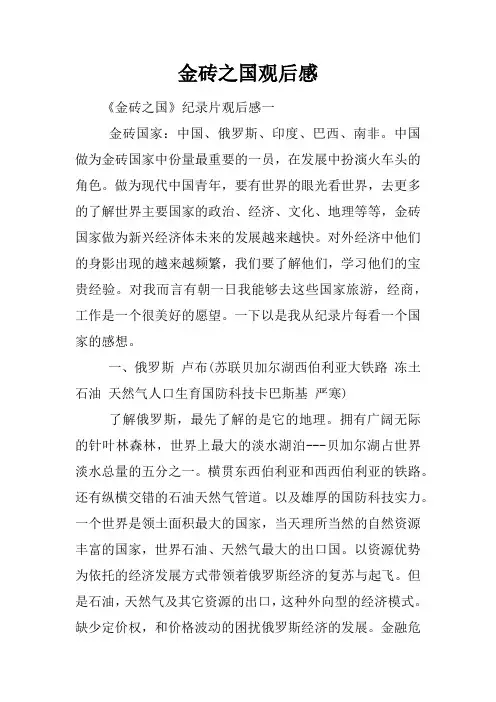金砖之国观后感