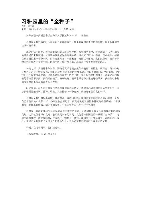习耕园里的“金种子”