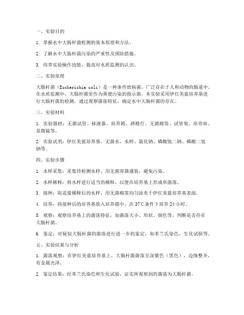 水中大肠杆菌的检测实验报告