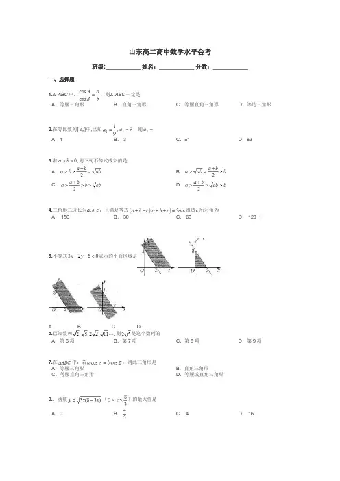 山东高二高中数学水平会考带答案解析
