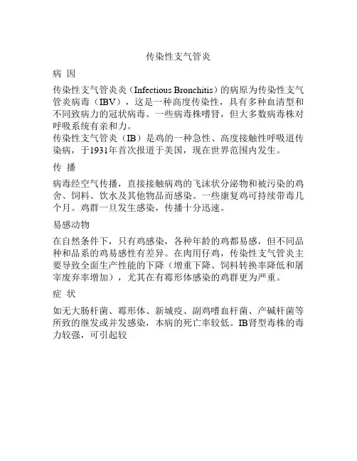 传染性支气管炎