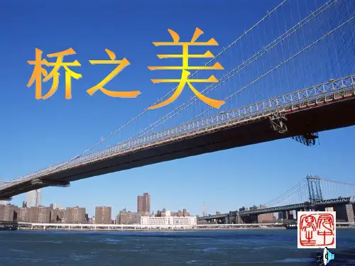 《桥之美》语文PPT课件(10篇)