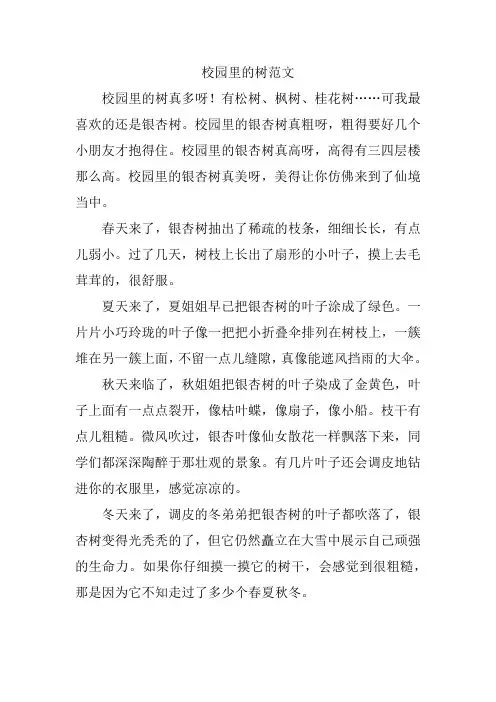 校园里的树范文