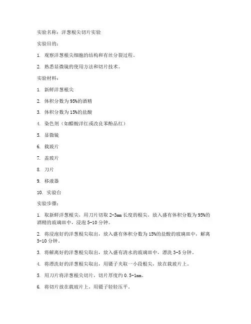 洋葱根尖切片实验报告