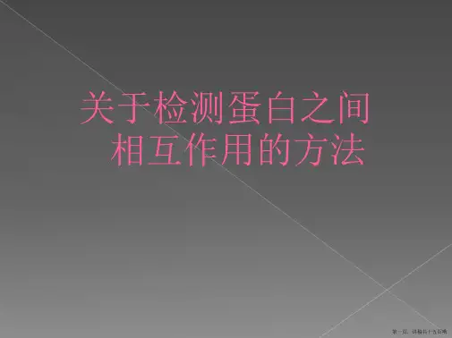 检测蛋白之间相互作用的方法