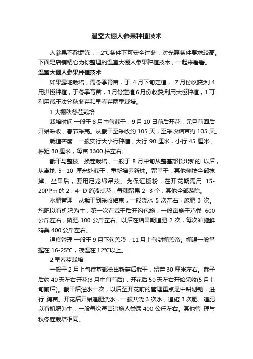 温室大棚人参果种植技术