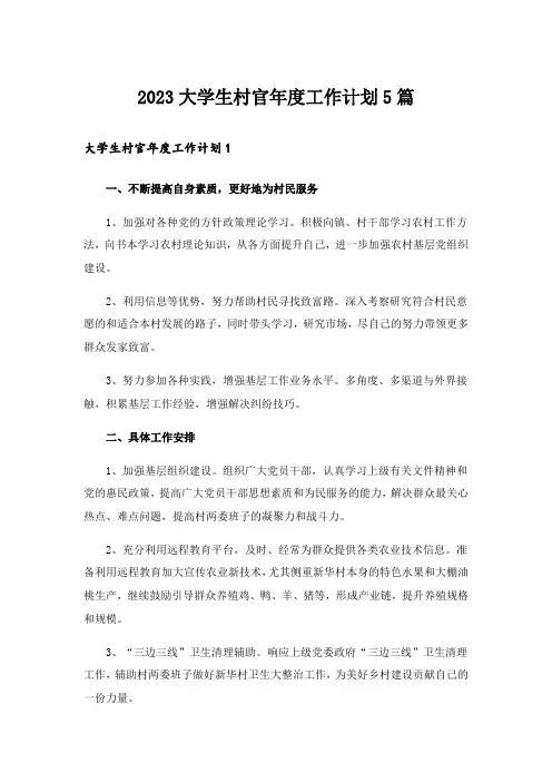 2023大学生村官年度工作计划5篇