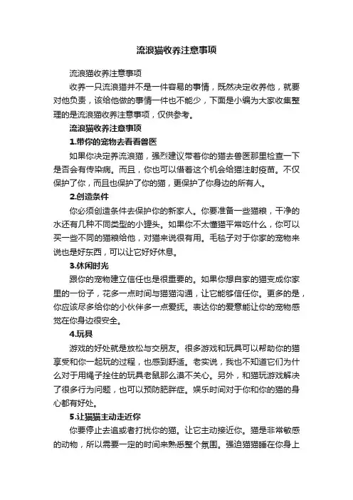 流浪猫收养注意事项