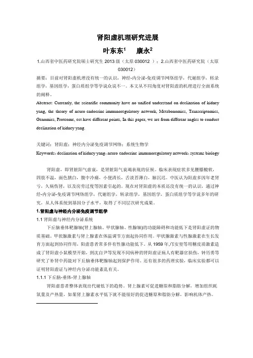 肾阳虚机理研究进展