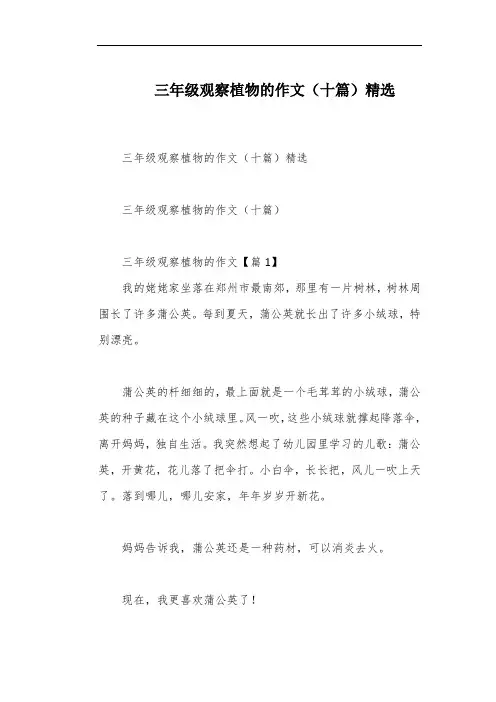 三年级观察植物的作文(十篇)精选