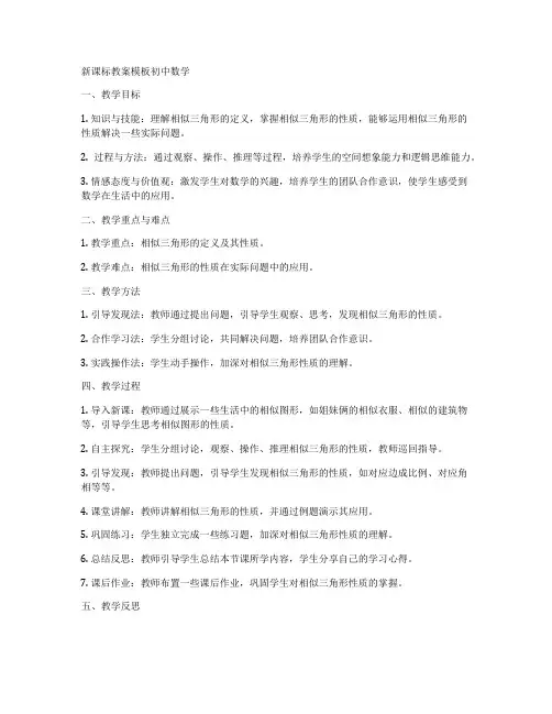 新课标教案模板初中数学
