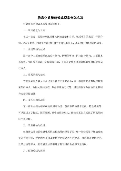 信息化系统建设典型案例怎么写