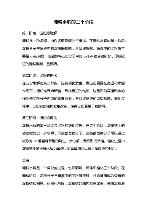 淀粉水解的三个阶段