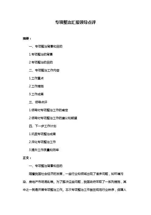 专项整治汇报领导点评