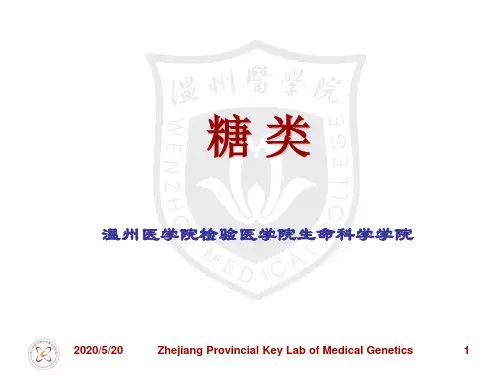 [理学]糖类介绍简介