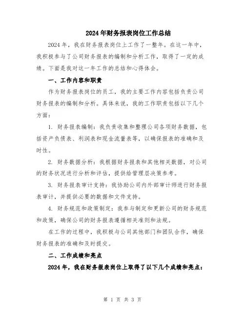 2024年财务报表岗位工作总结
